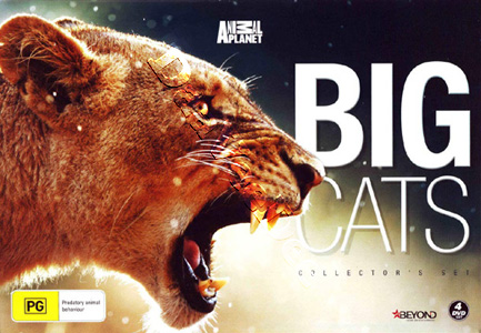 Big Cats - 4-DVD Collector's Box Set (DVD)